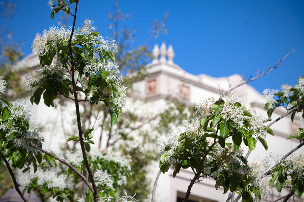 USD campus