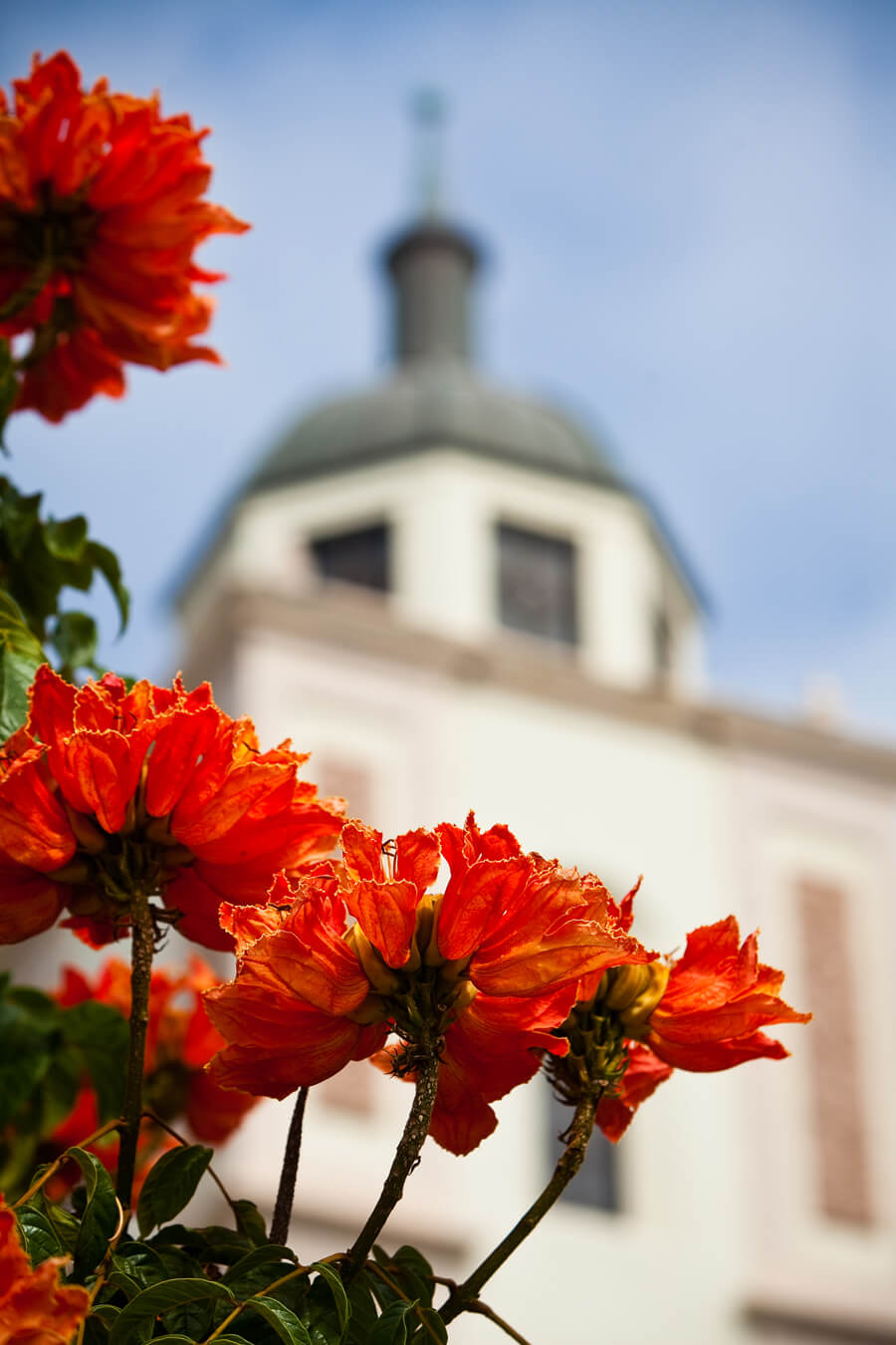 USD campus