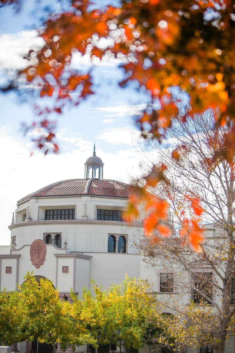 USD campus