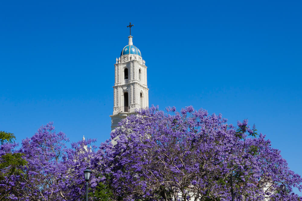USD campus