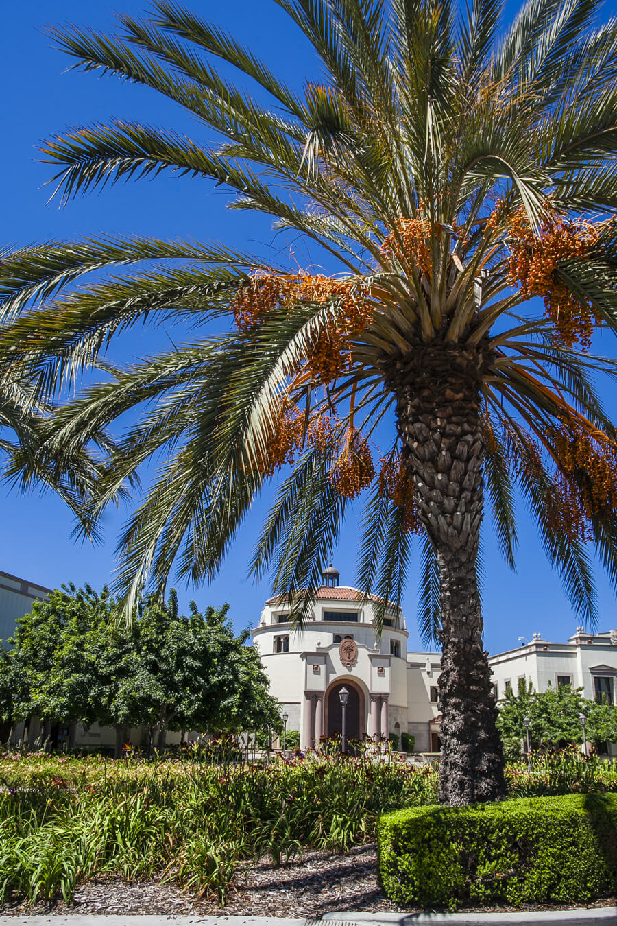 USD campus
