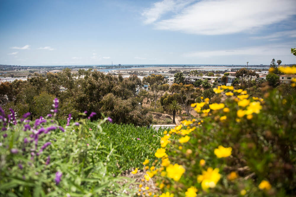 USD campus blooms
