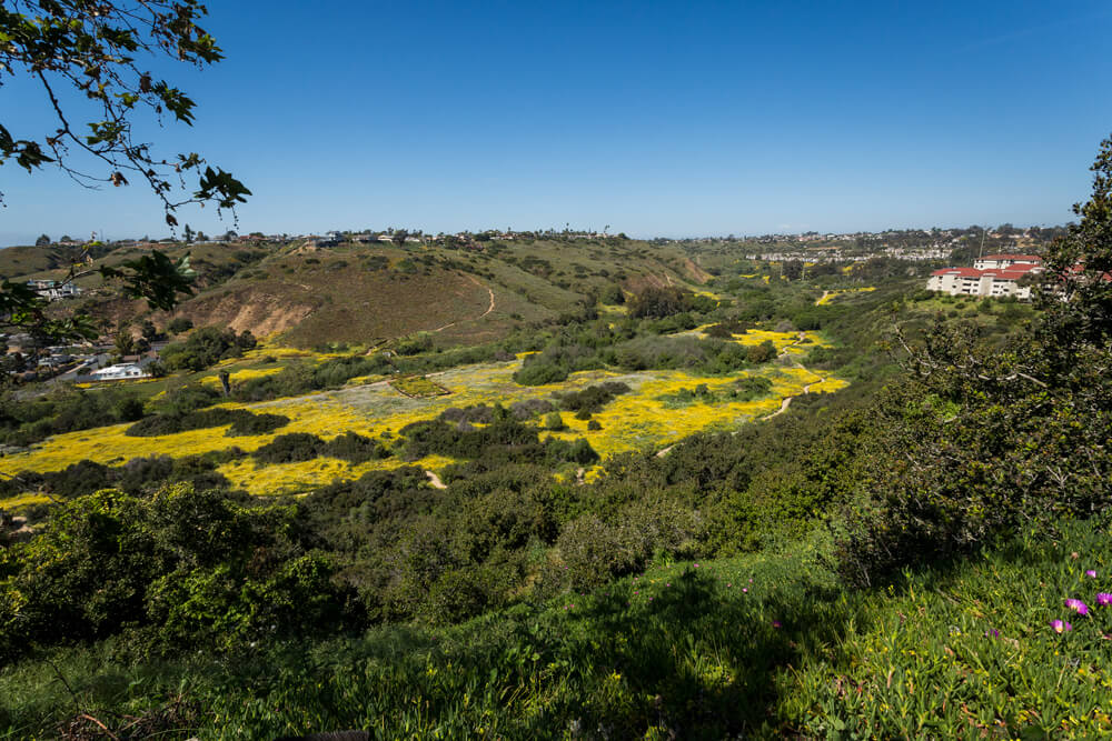 USD campus