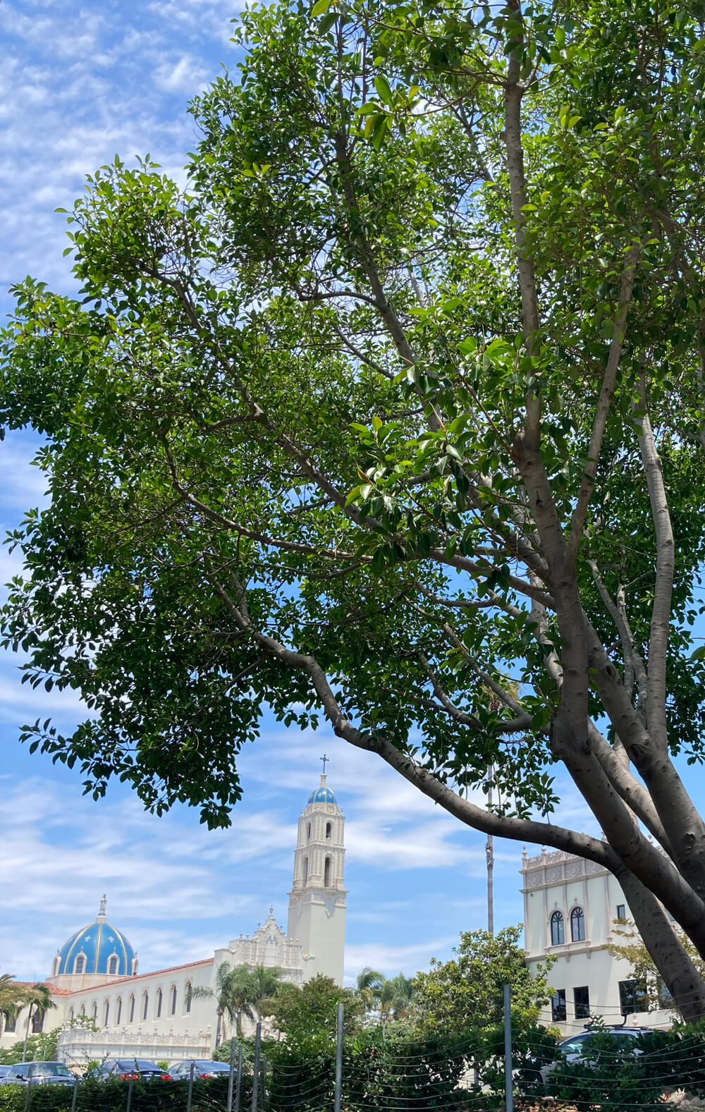 USD campus