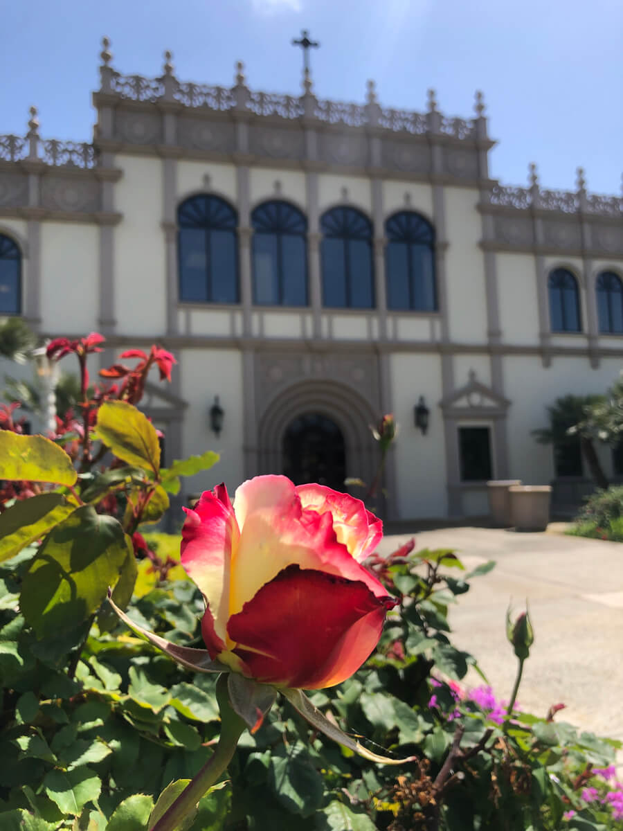 USD campus