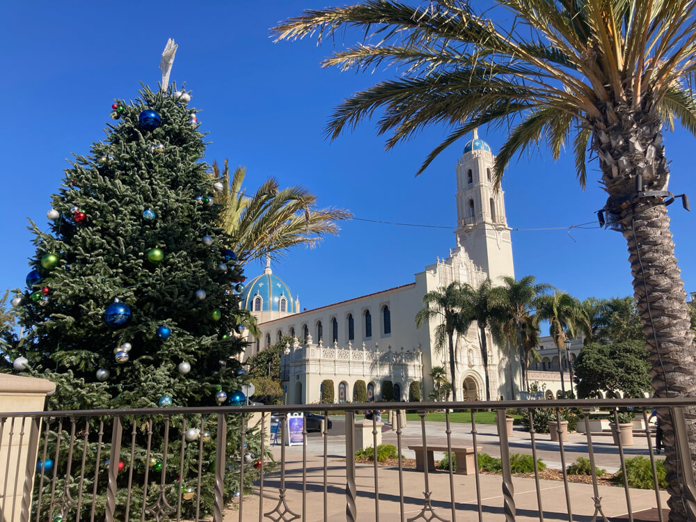 USD Christmas tree