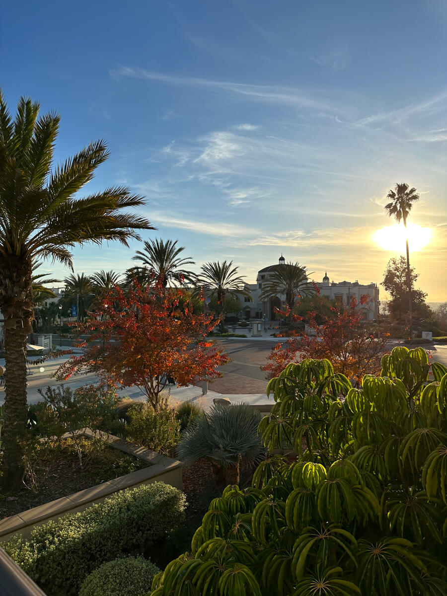 San Diego horizon