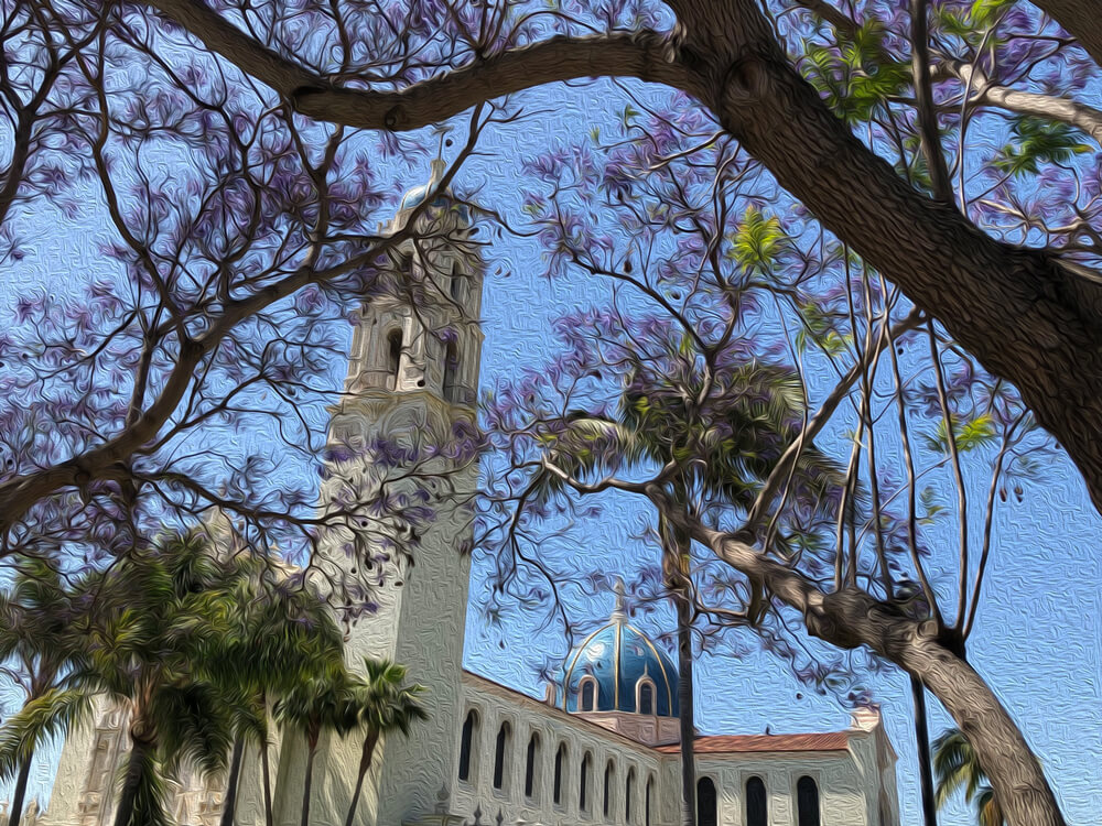 USD campus