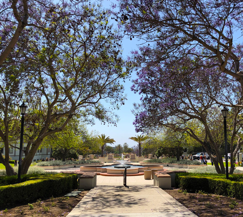 USD campus