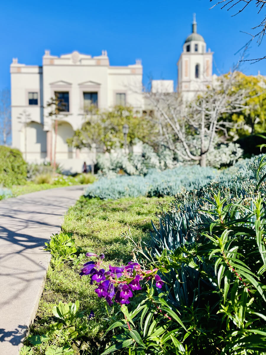 USD campus