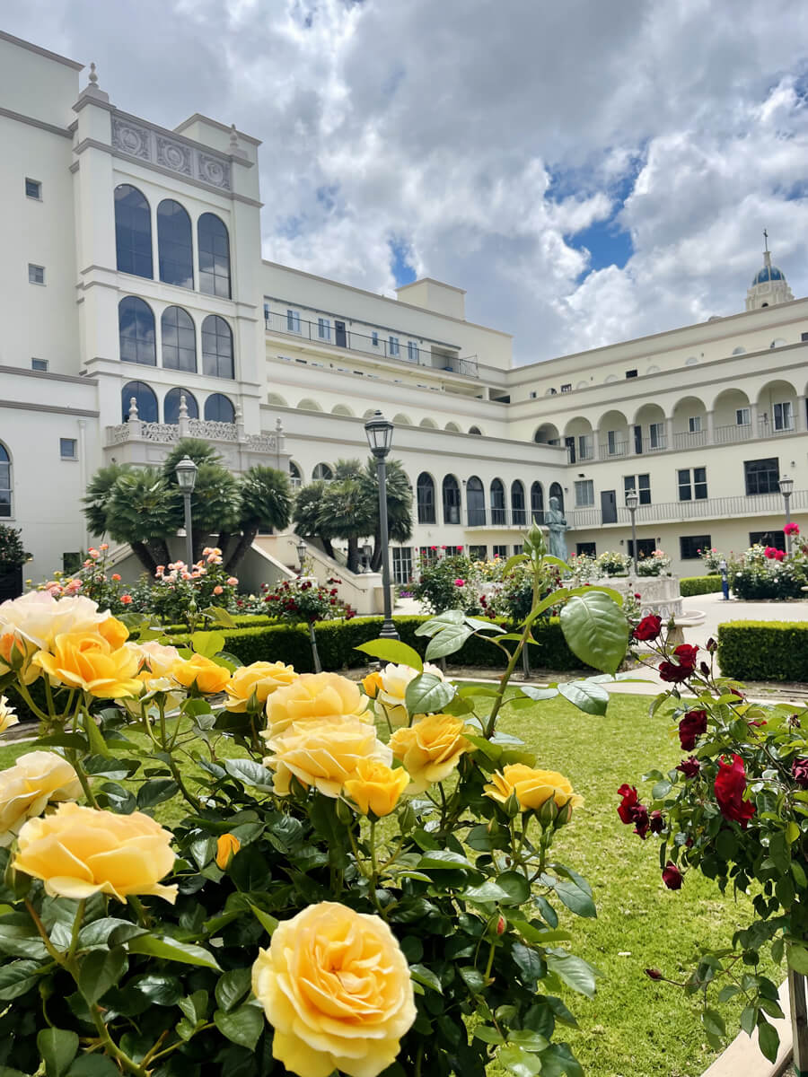 USD campus rose garden