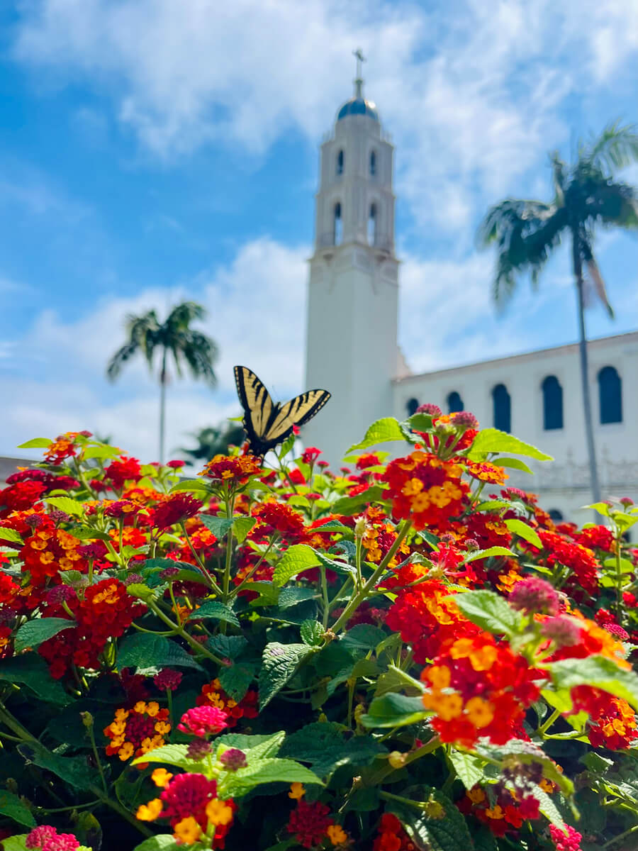 USD campus