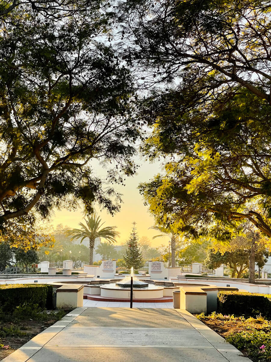USD campus