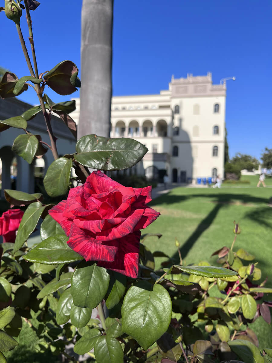USD campus