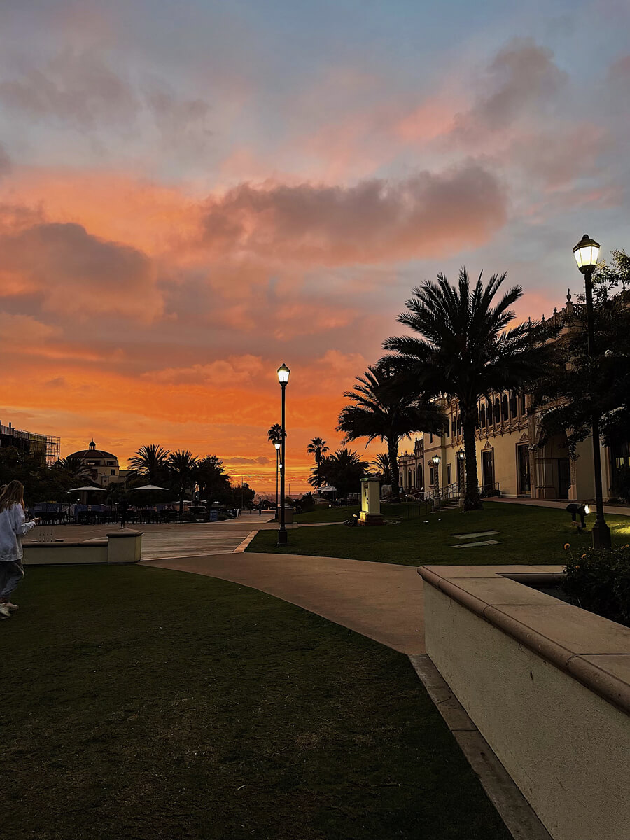 USD campus autumn sky