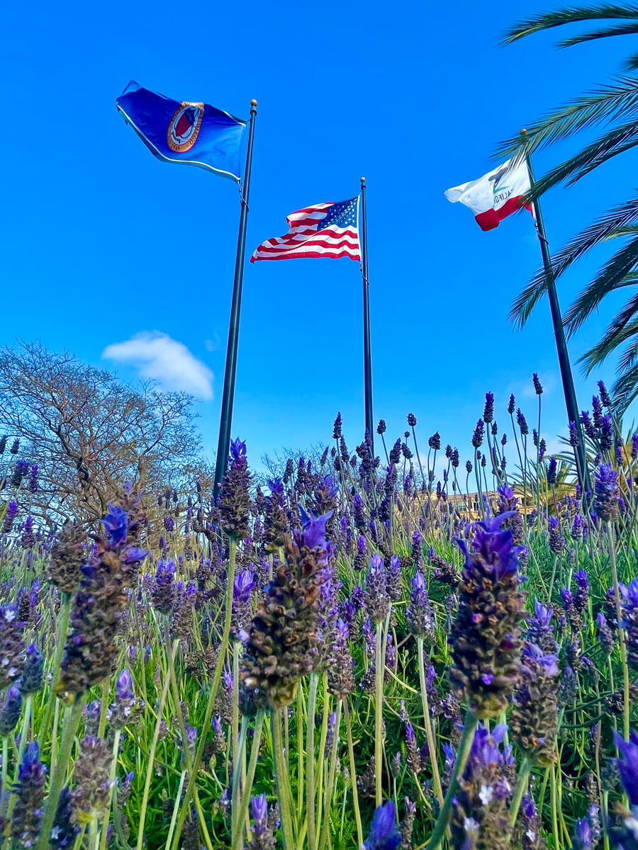 USD campus