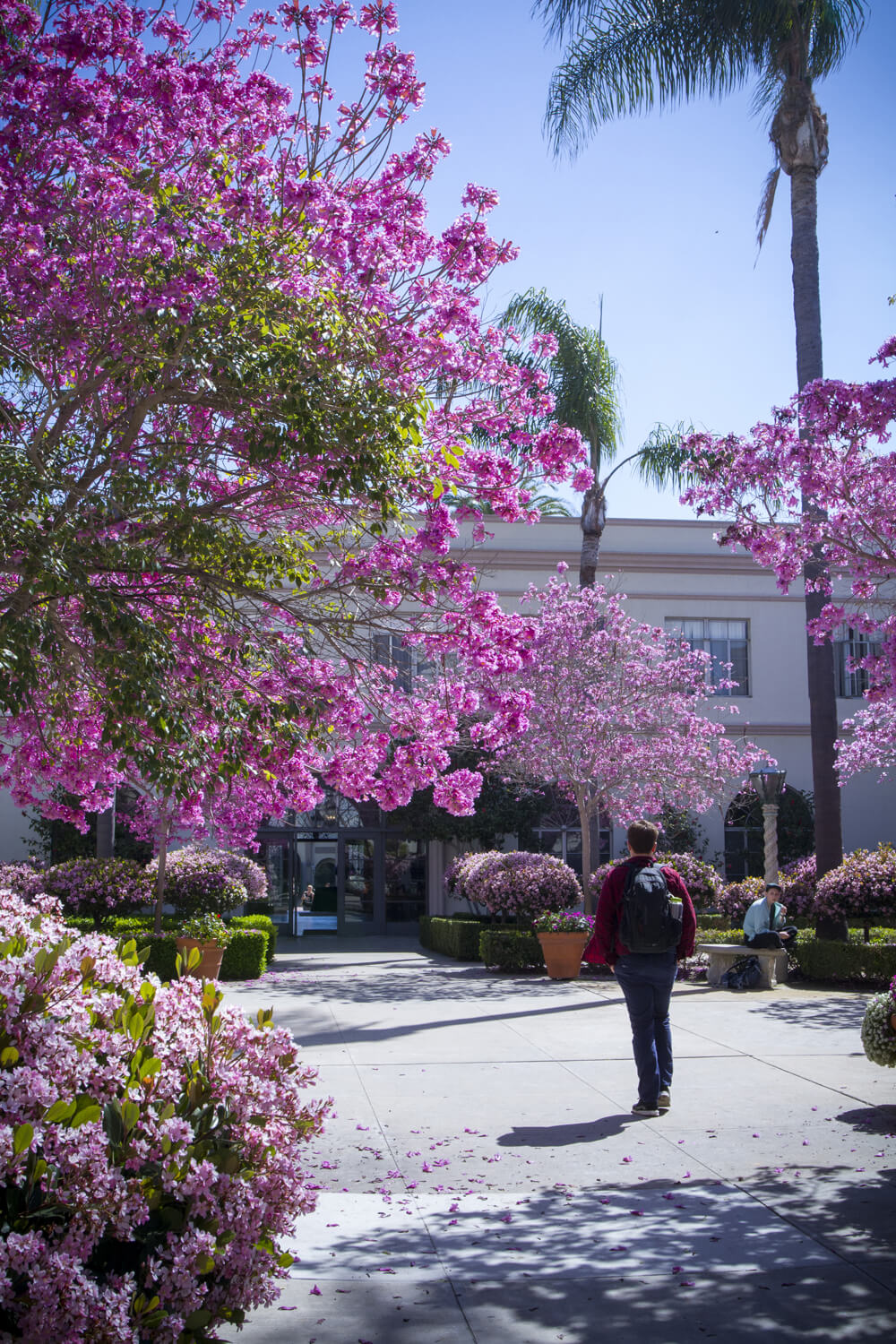 usd campus