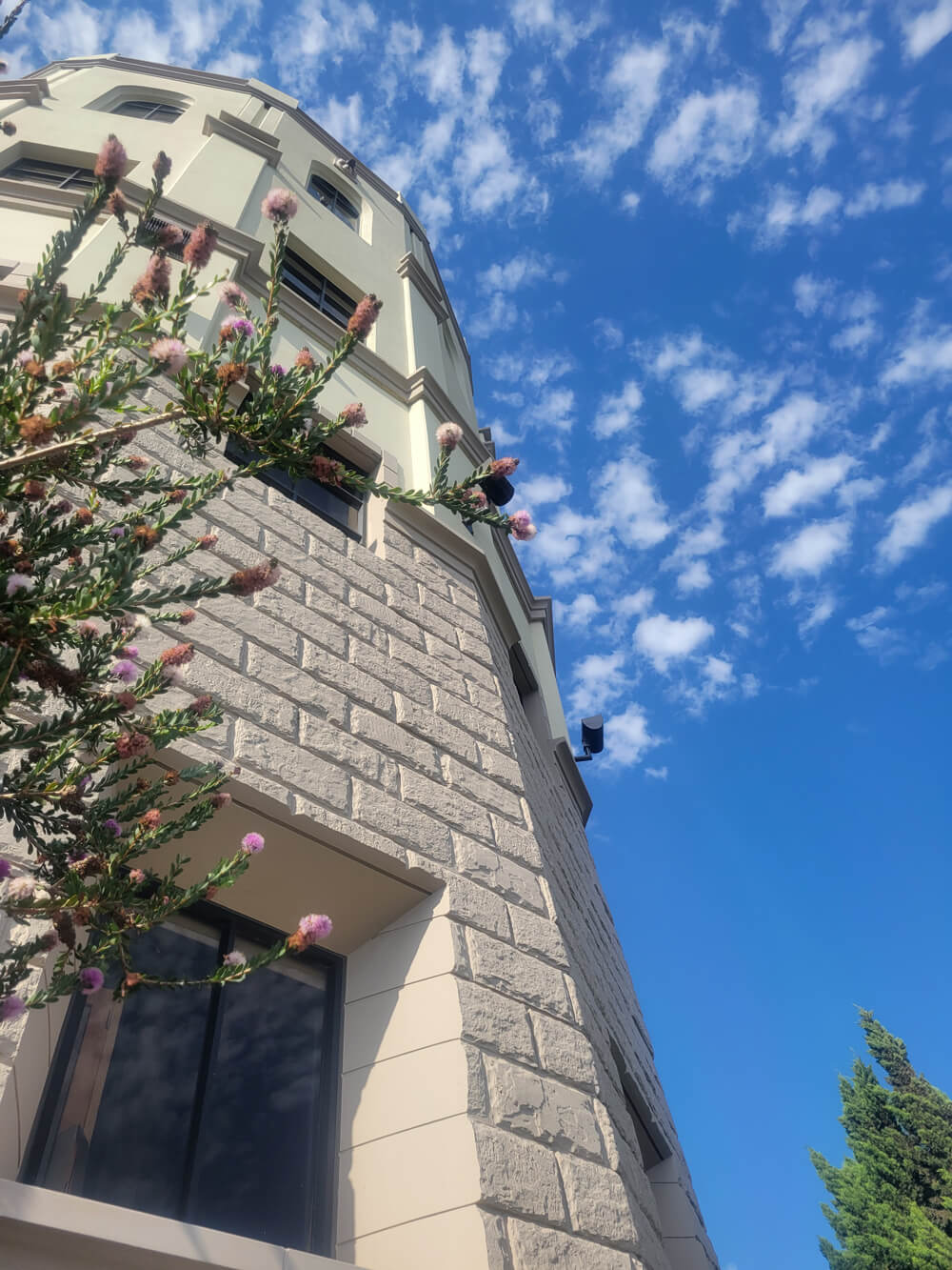 usd campus flowers