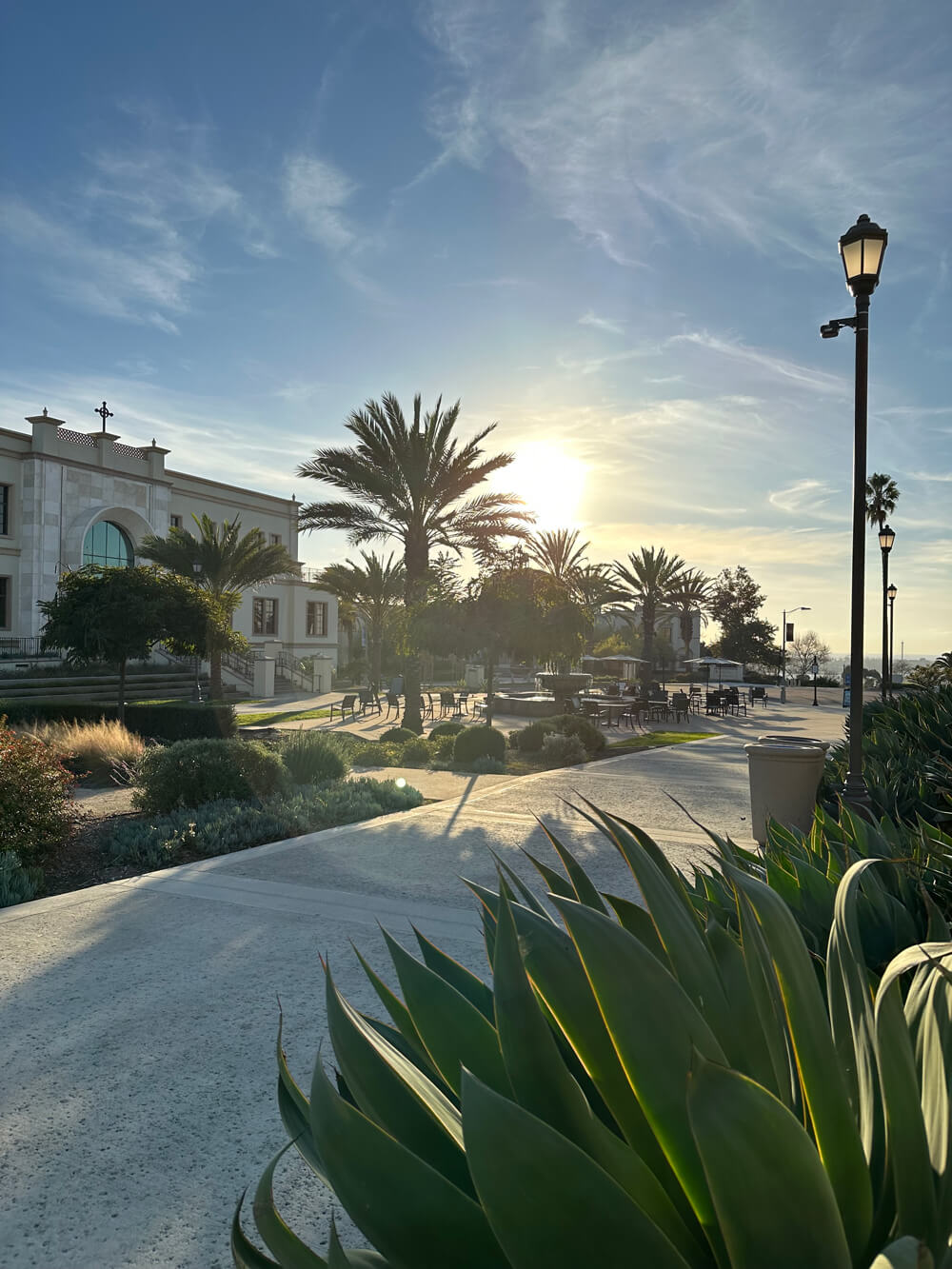 USD campus sunset