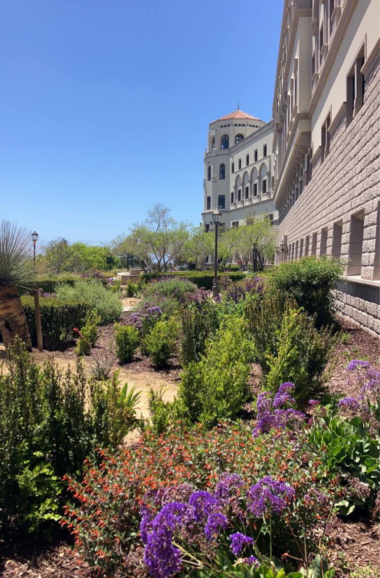 USD Strata Plaza