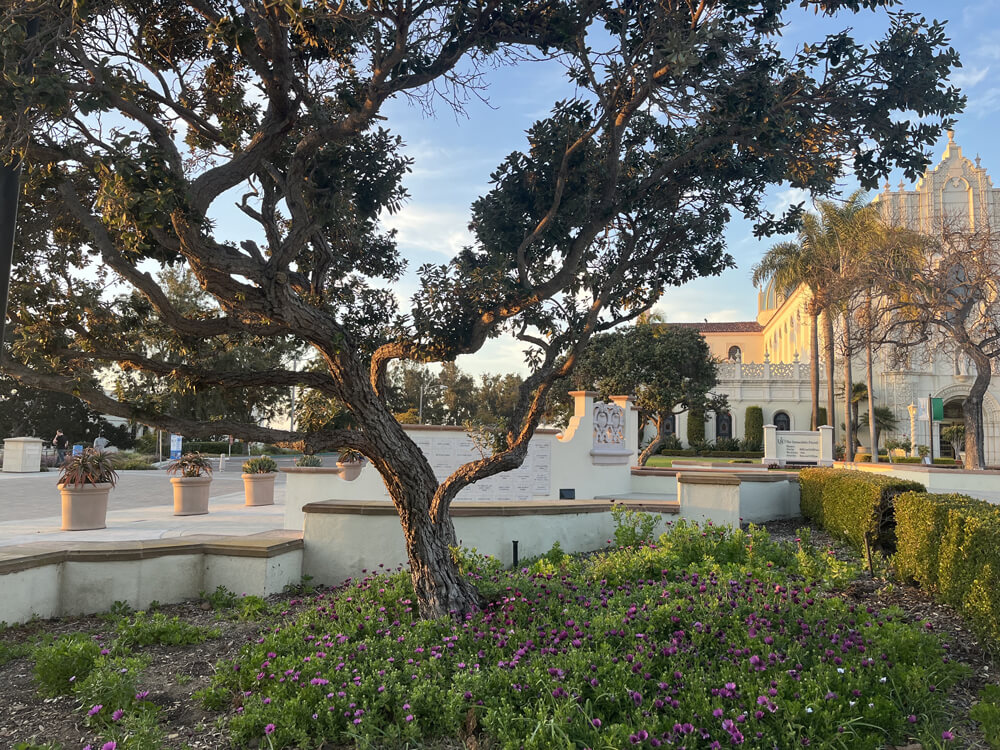 USD campus landscape