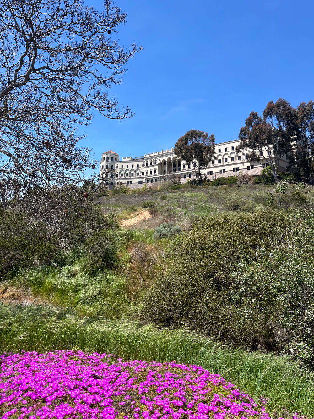 USD campus