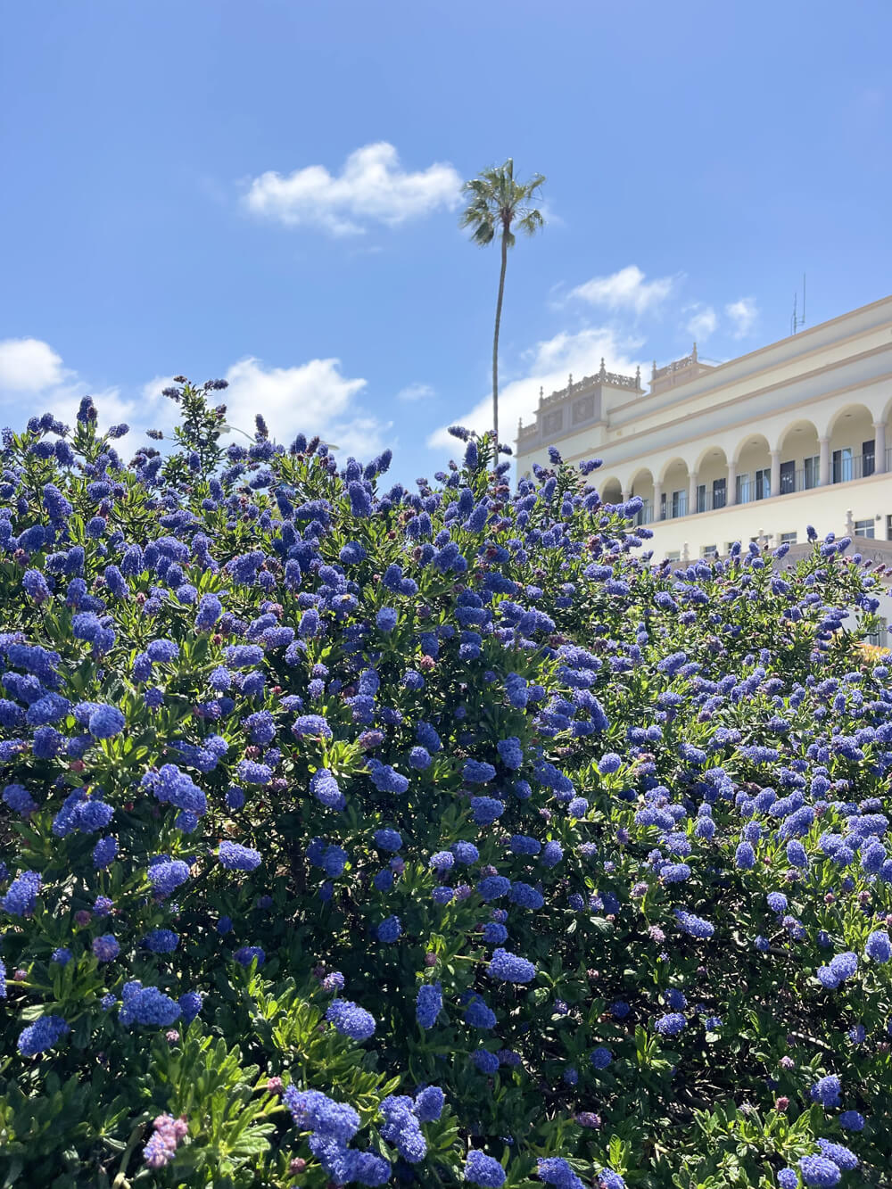 USD Maher Hall