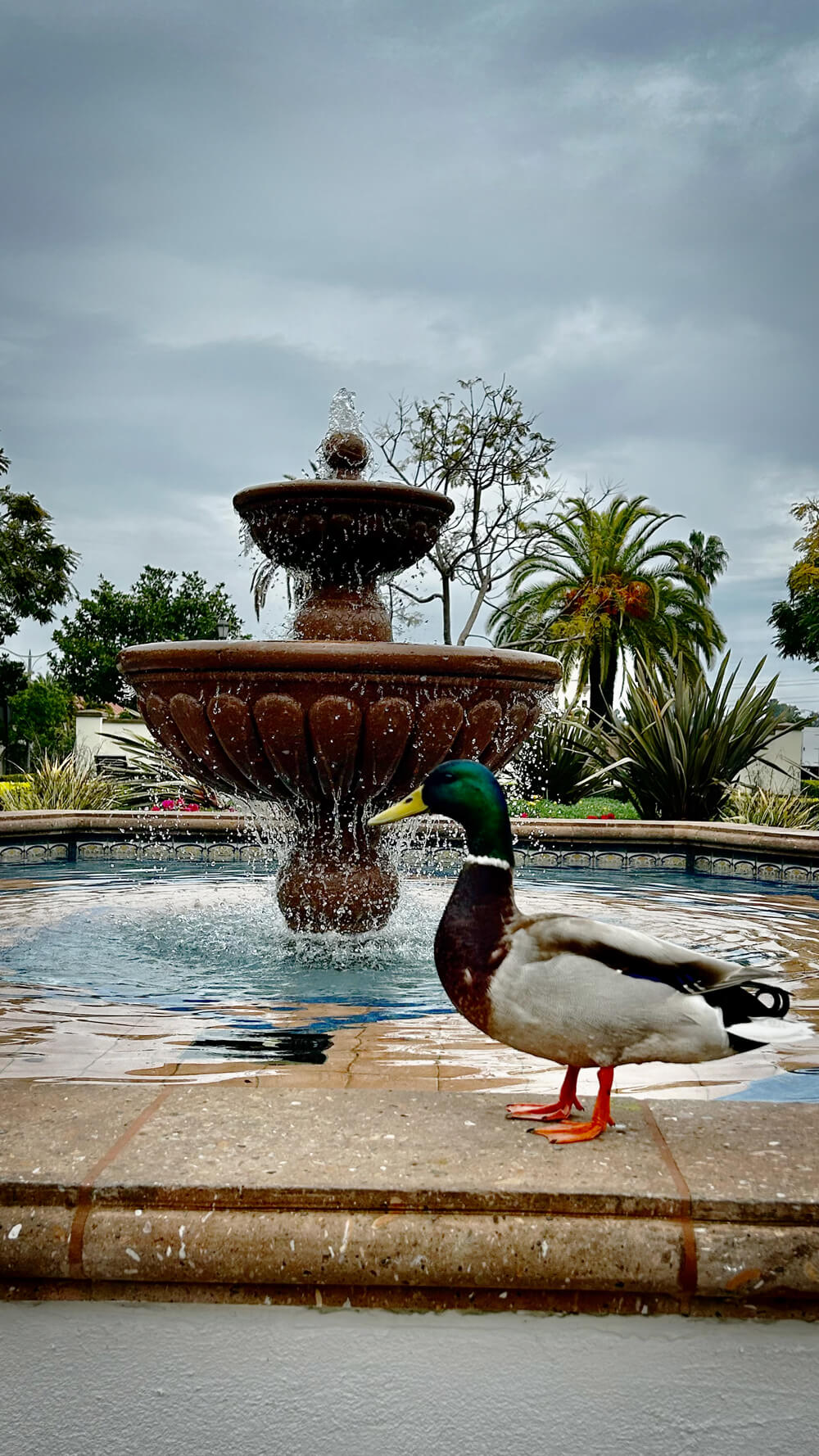 USD campus