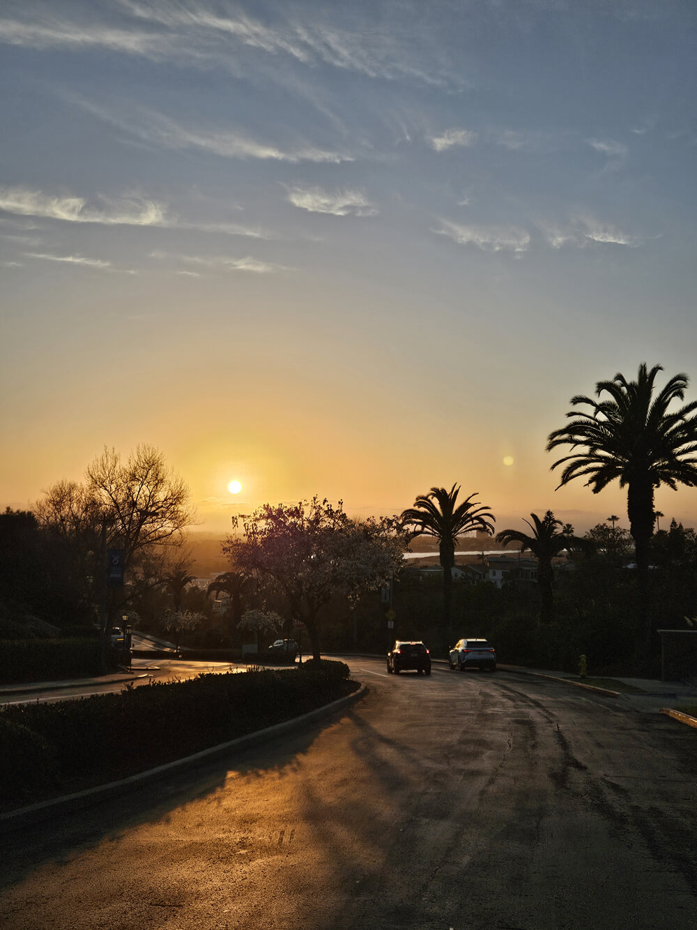 USD campus sunset