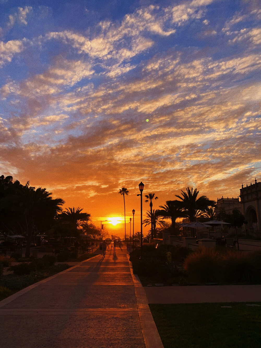 USD campus sunset