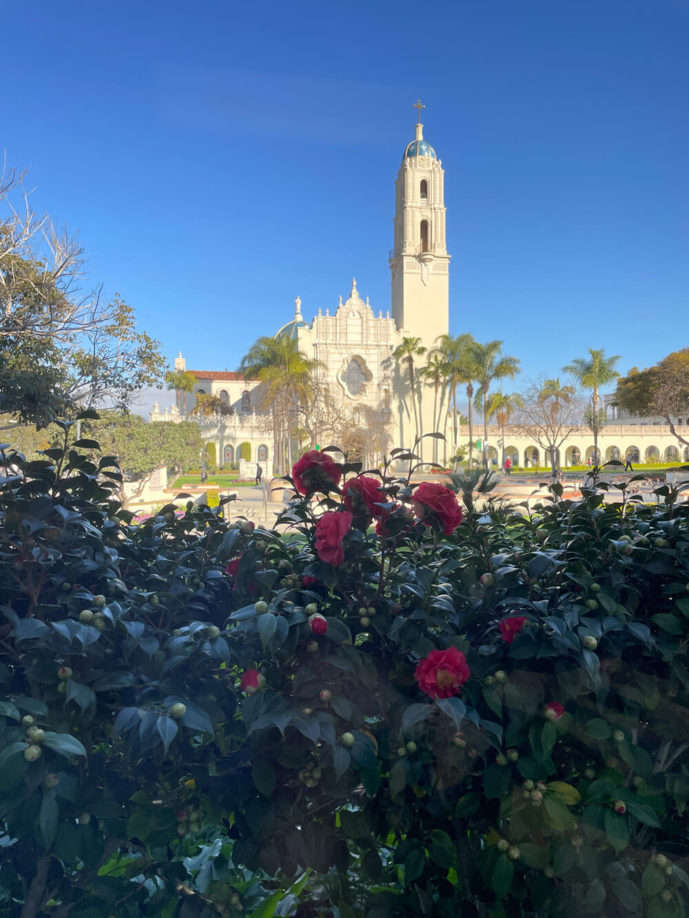 USD Immaculata with flowers