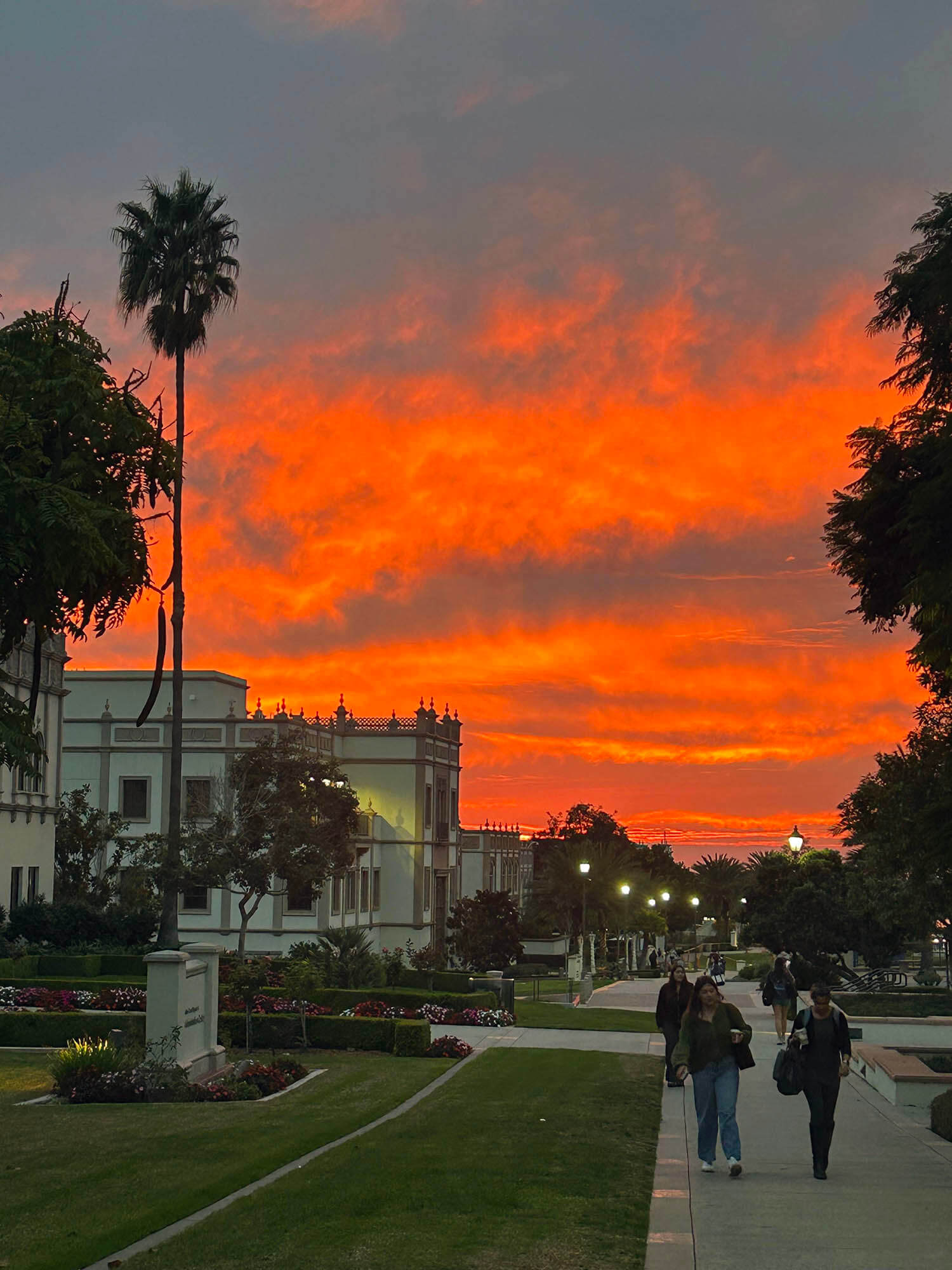orange sunset on campus