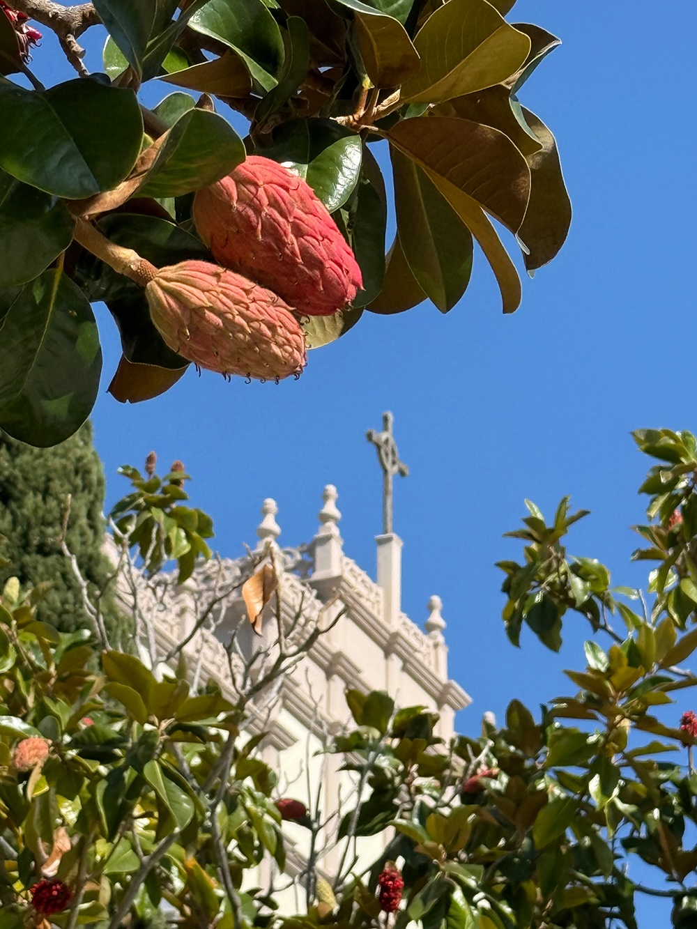 leaves surrounding cross