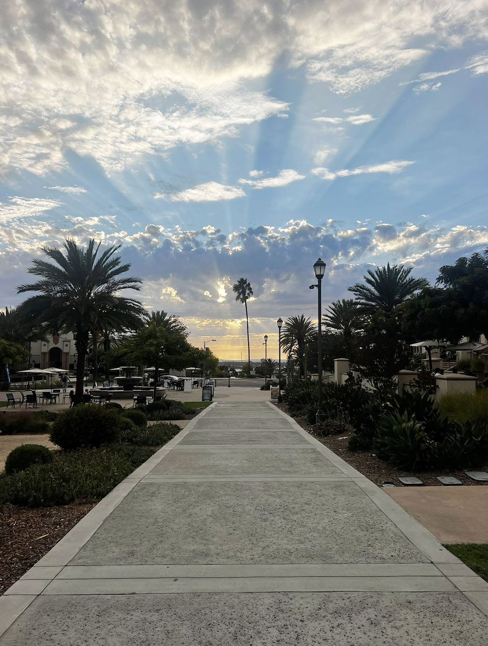 USD campus sunset