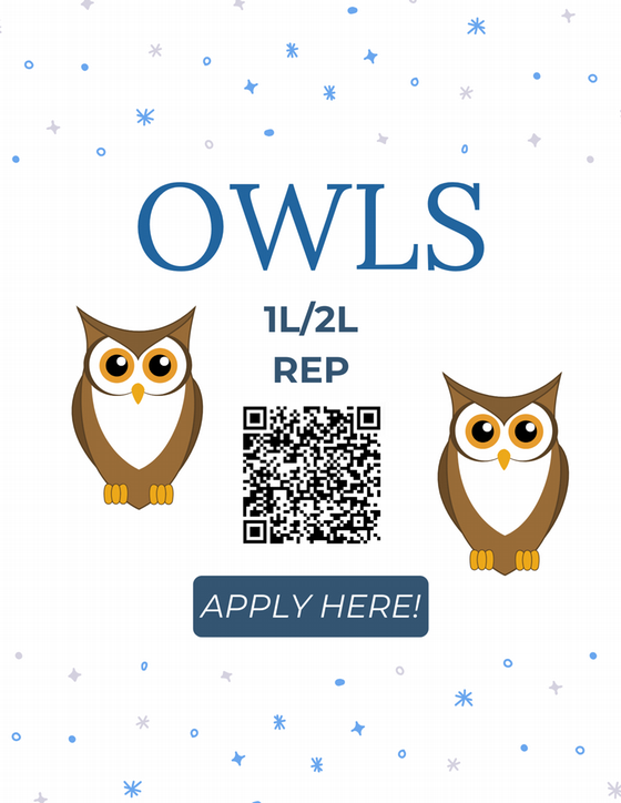 OWLS 1L/2L Rep Flyer