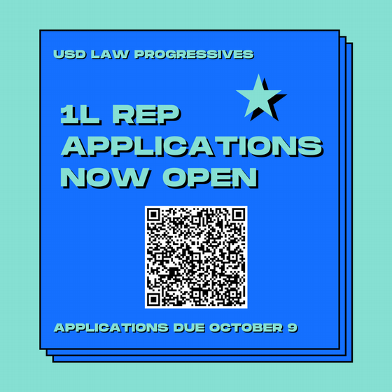 USDLP 1L Rep Flyer